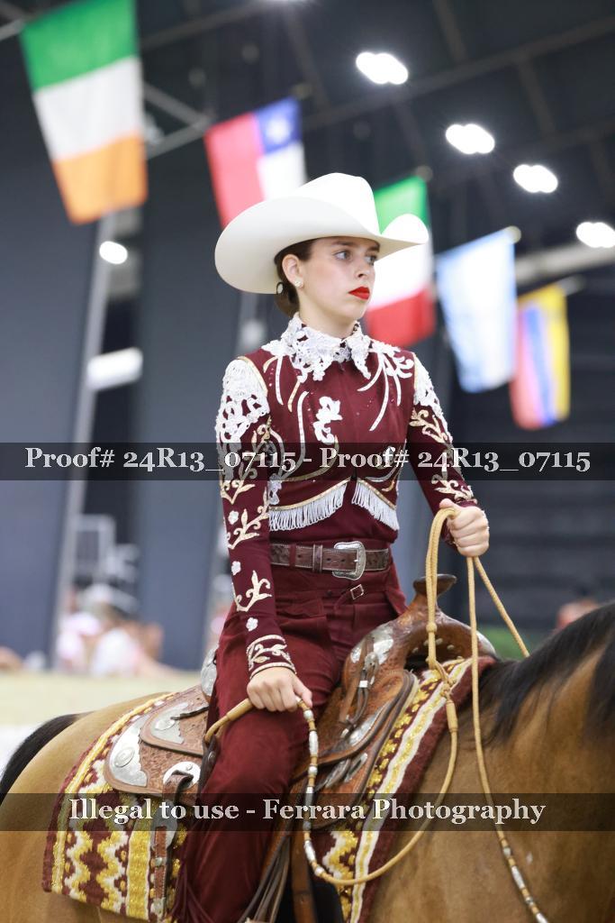 Proof 24R13_07115