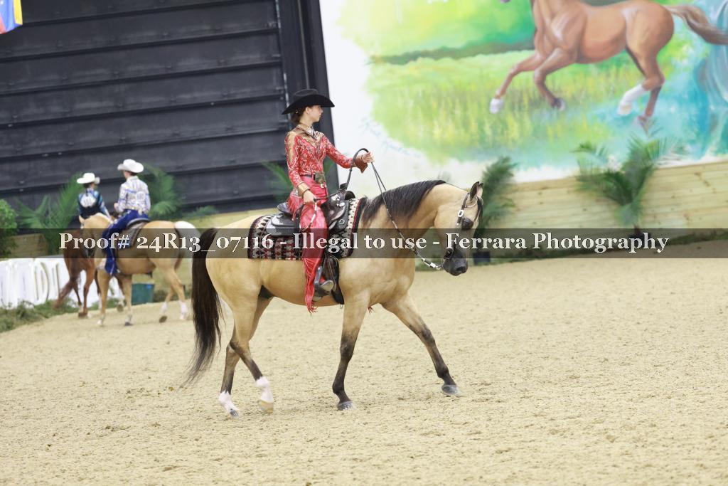 Proof 24R13_07116