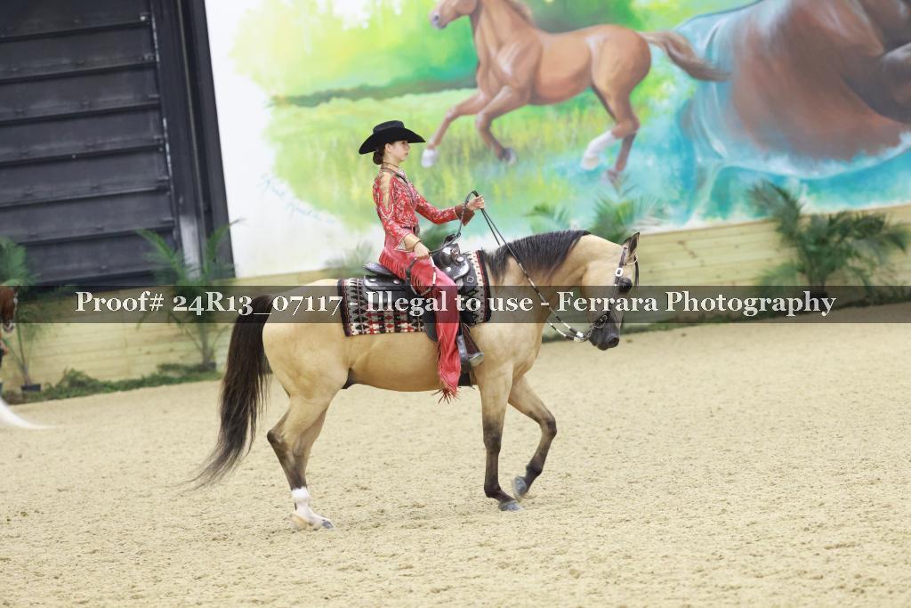 Proof 24R13_07117