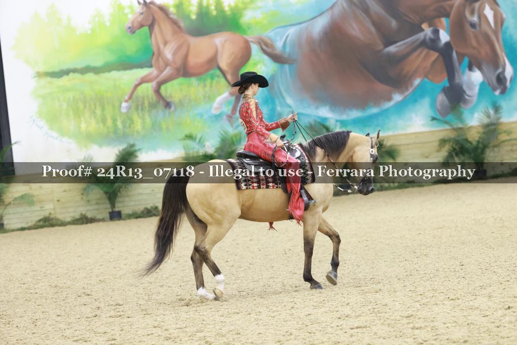 Proof 24R13_07118