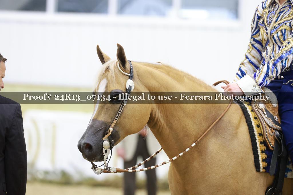 Proof 24R13_07134