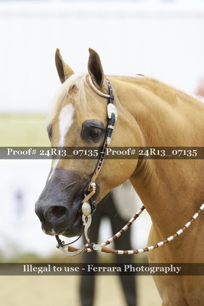 Proof 24R13_07135