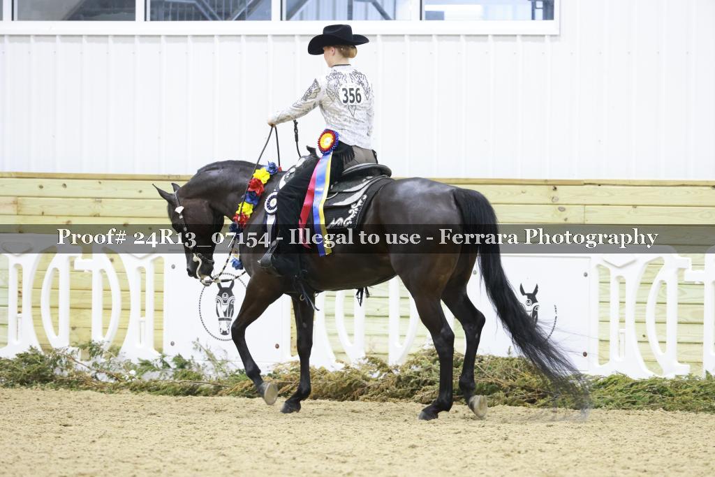Proof 24R13_07154