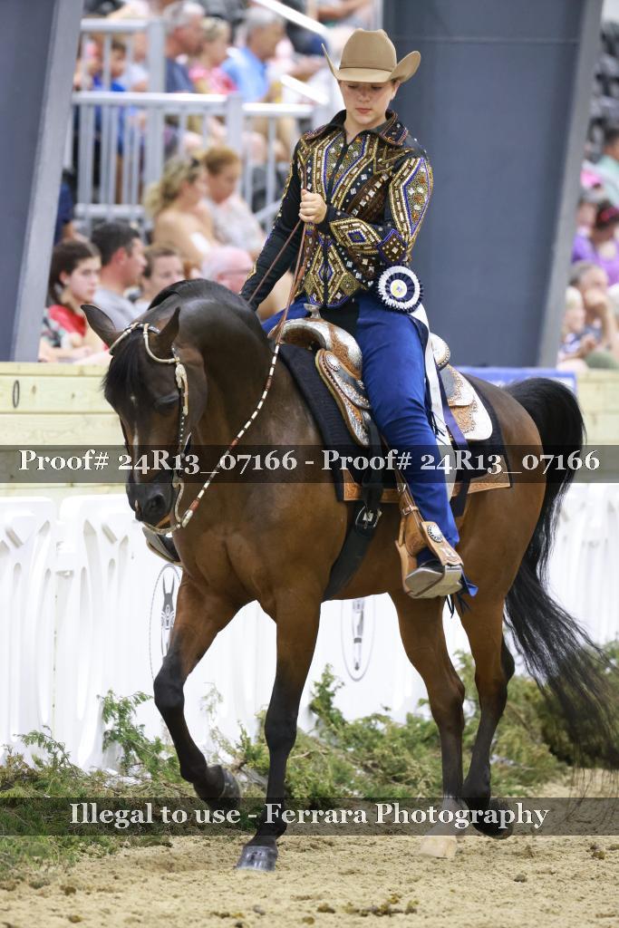 Proof 24R13_07166