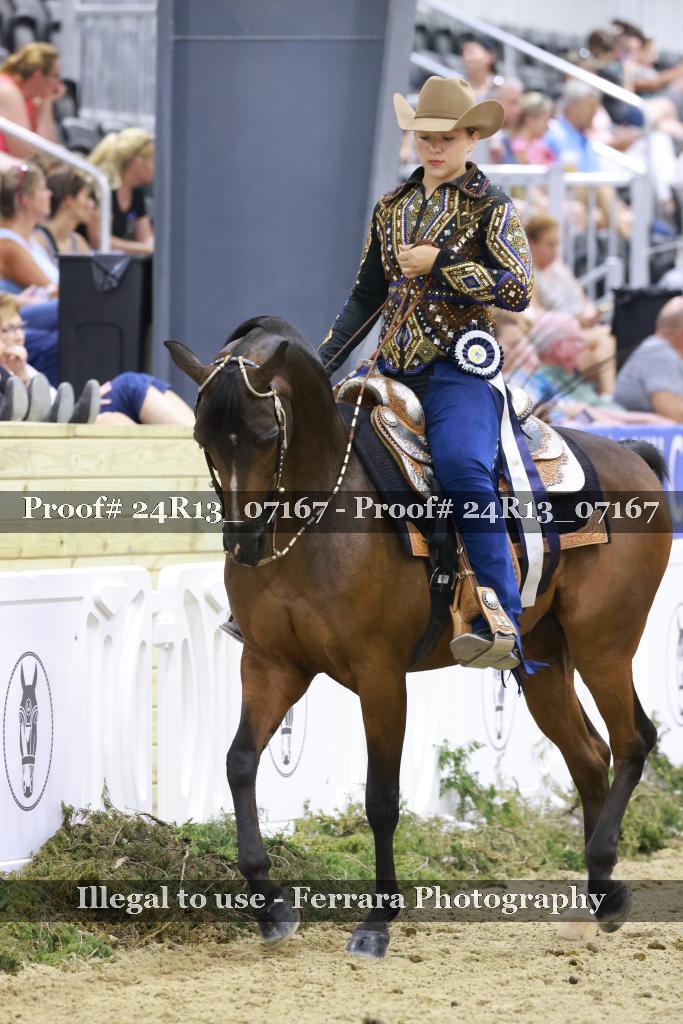 Proof 24R13_07167