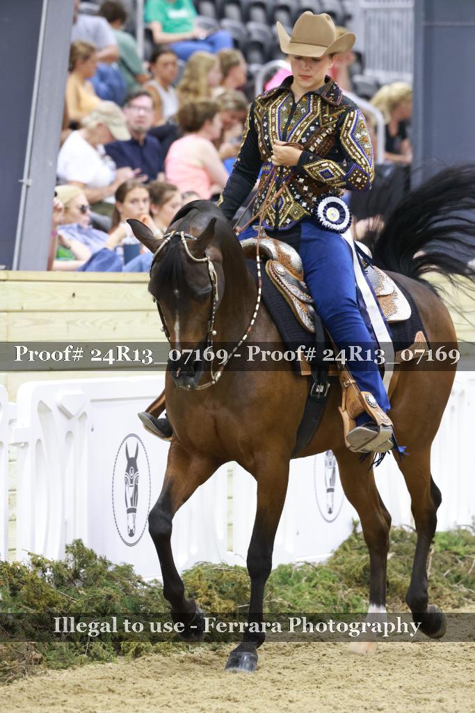 Proof 24R13_07169