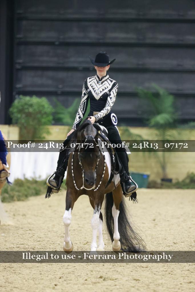 Proof 24R13_07172