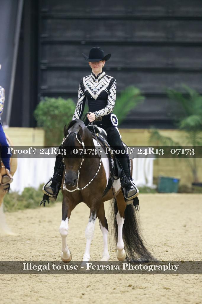 Proof 24R13_07173