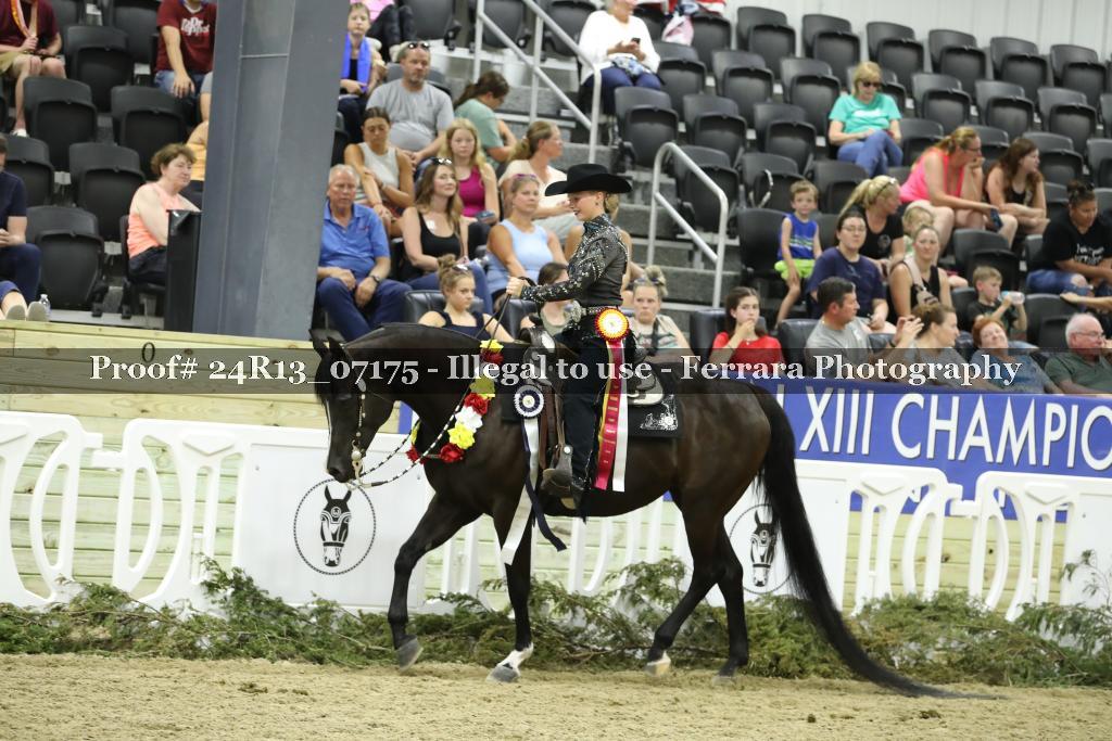 Proof 24R13_07175