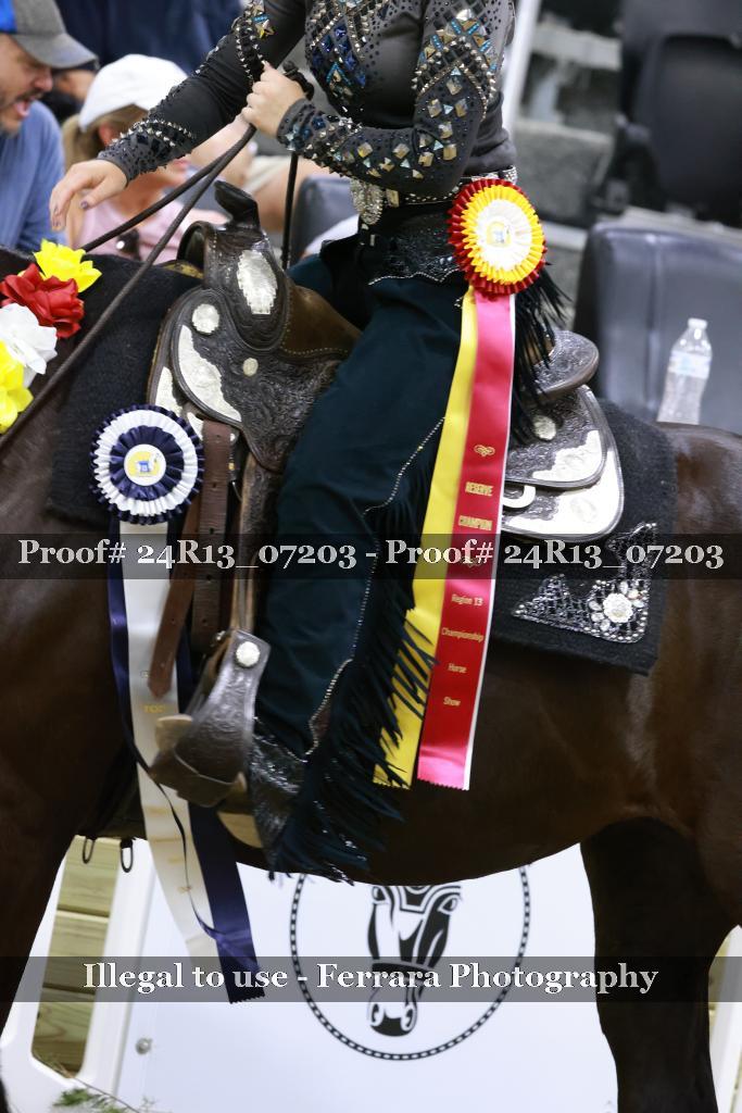 Proof 24R13_07203