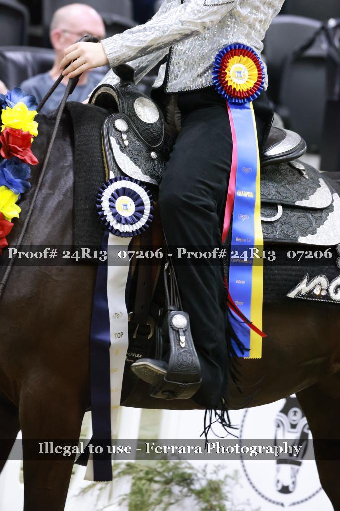 Proof 24R13_07206