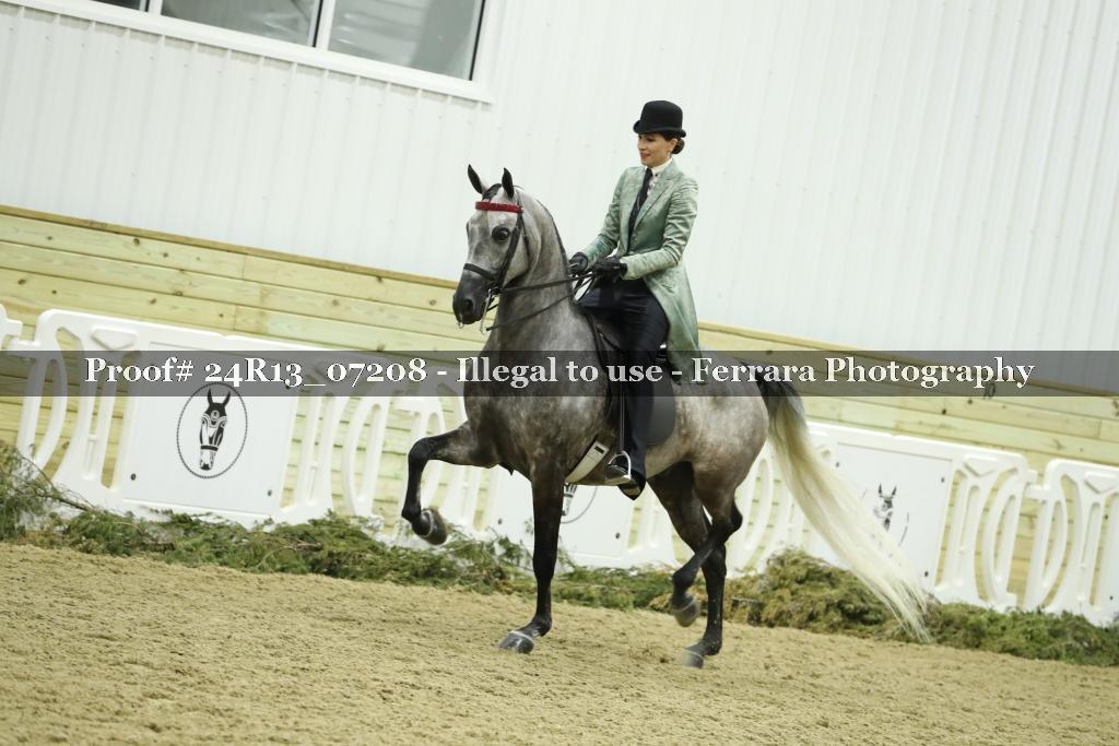 Proof 24R13_07208