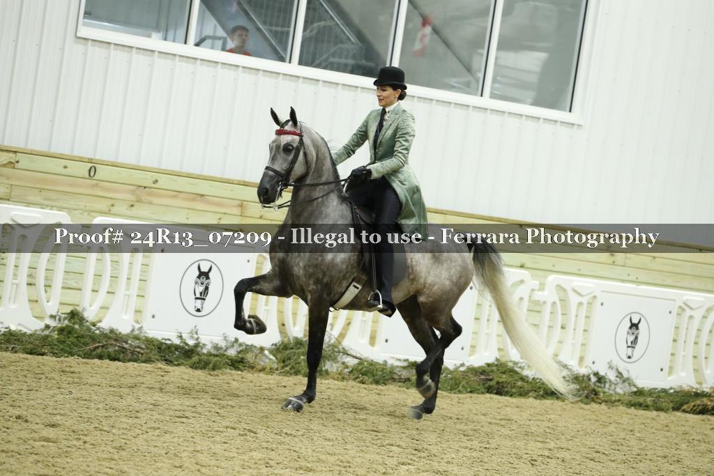 Proof 24R13_07209