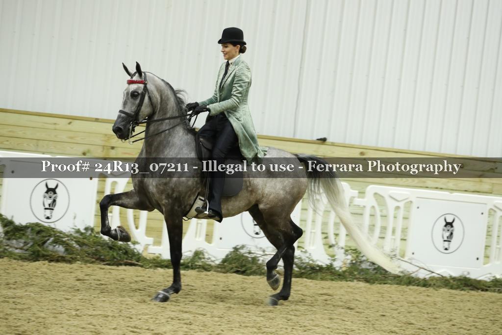 Proof 24R13_07211
