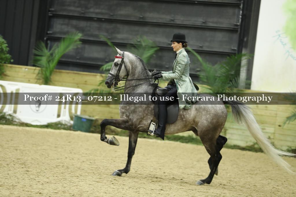 Proof 24R13_07212