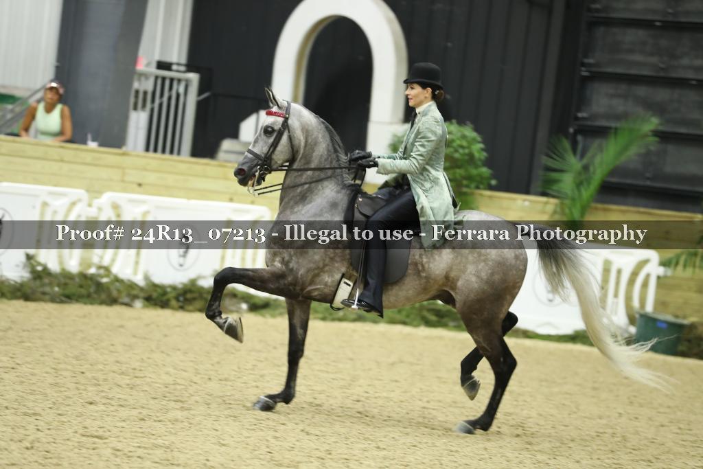 Proof 24R13_07213