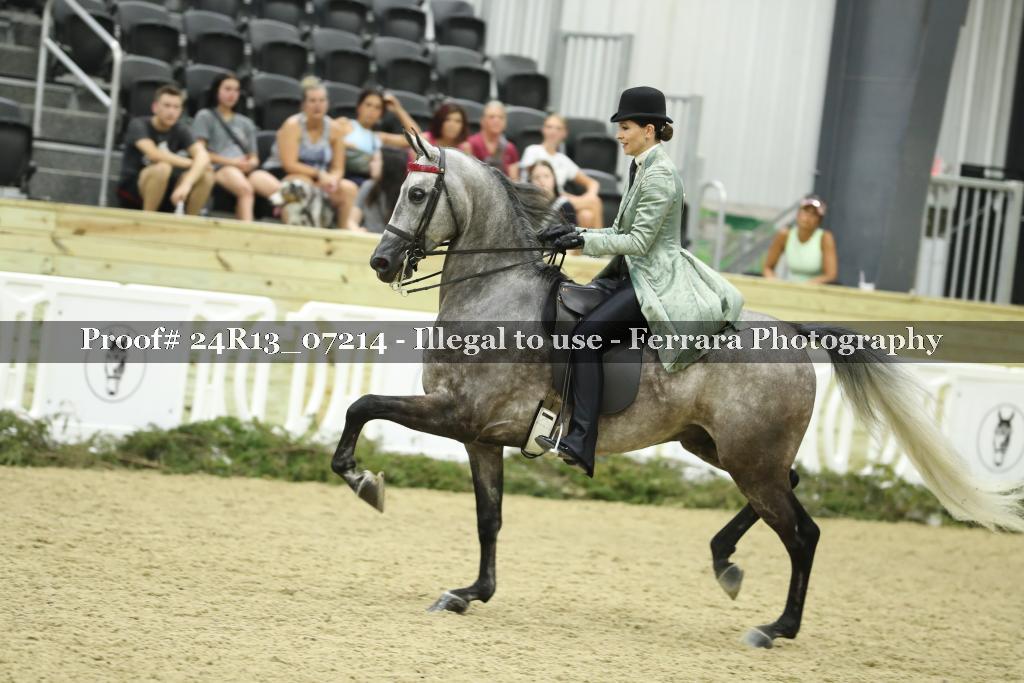 Proof 24R13_07214