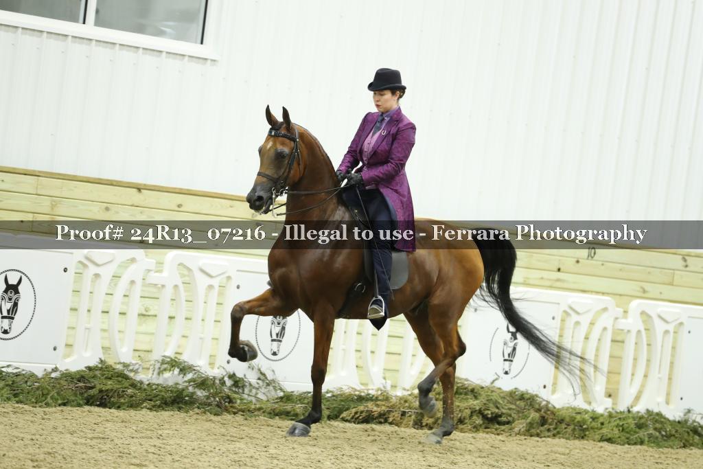 Proof 24R13_07216