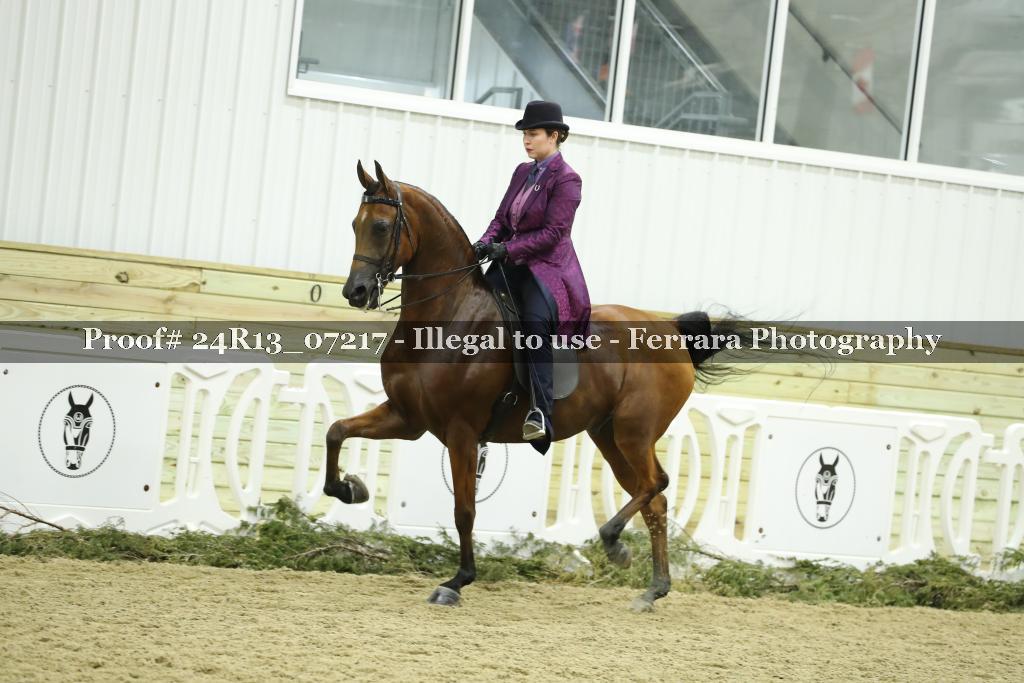 Proof 24R13_07217