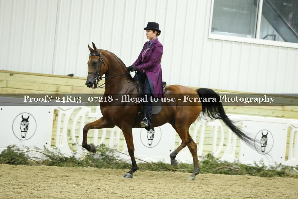Proof 24R13_07218