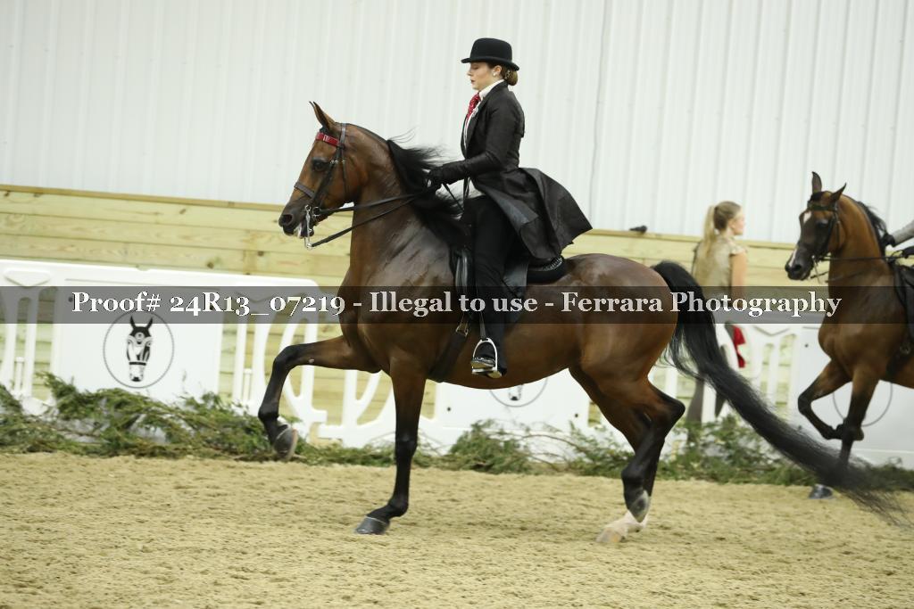Proof 24R13_07219