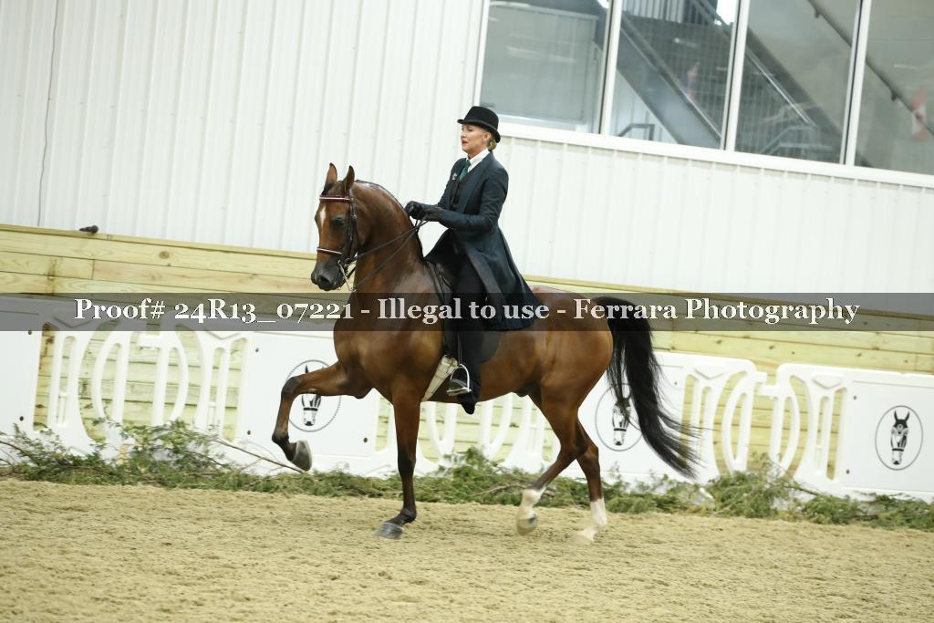 Proof 24R13_07221