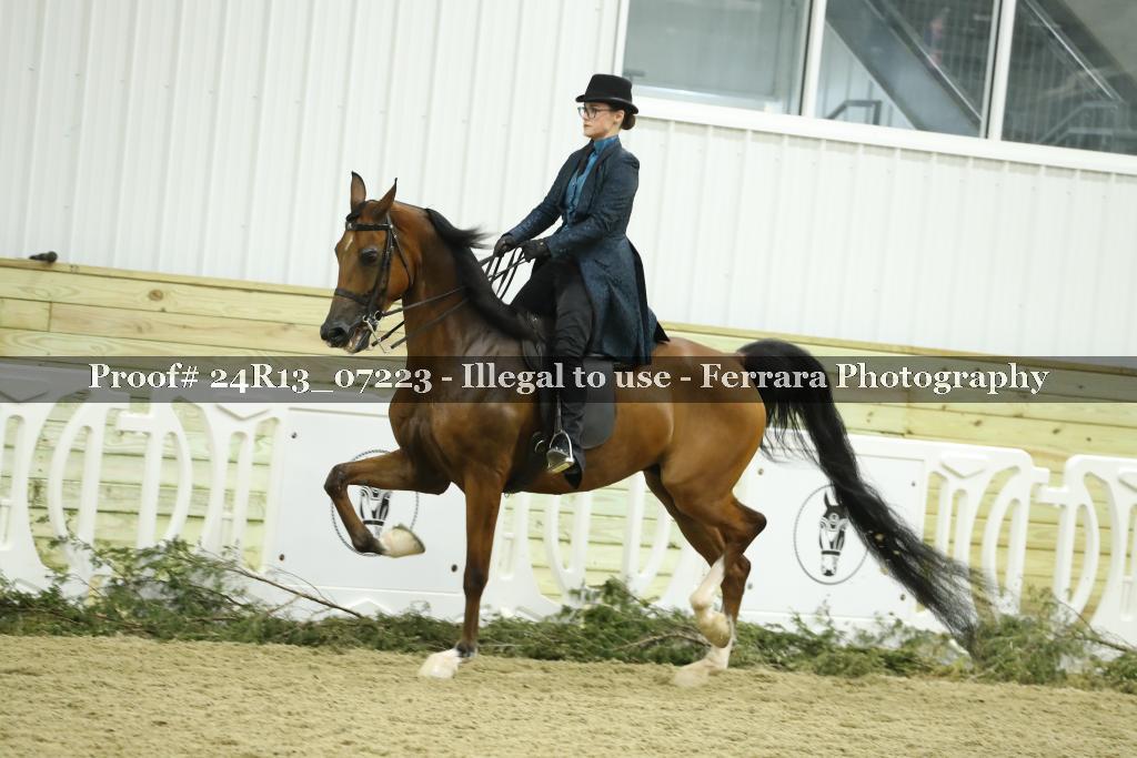 Proof 24R13_07223