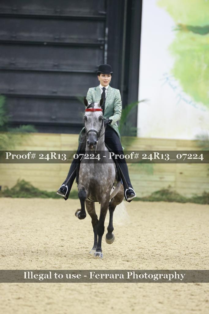 Proof 24R13_07224
