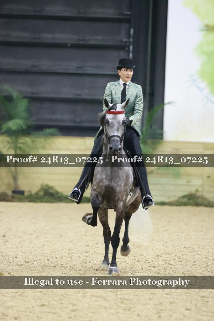 Proof 24R13_07225
