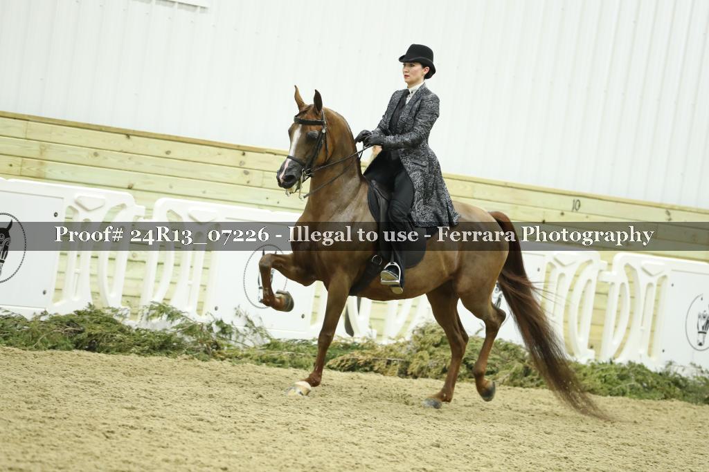 Proof 24R13_07226