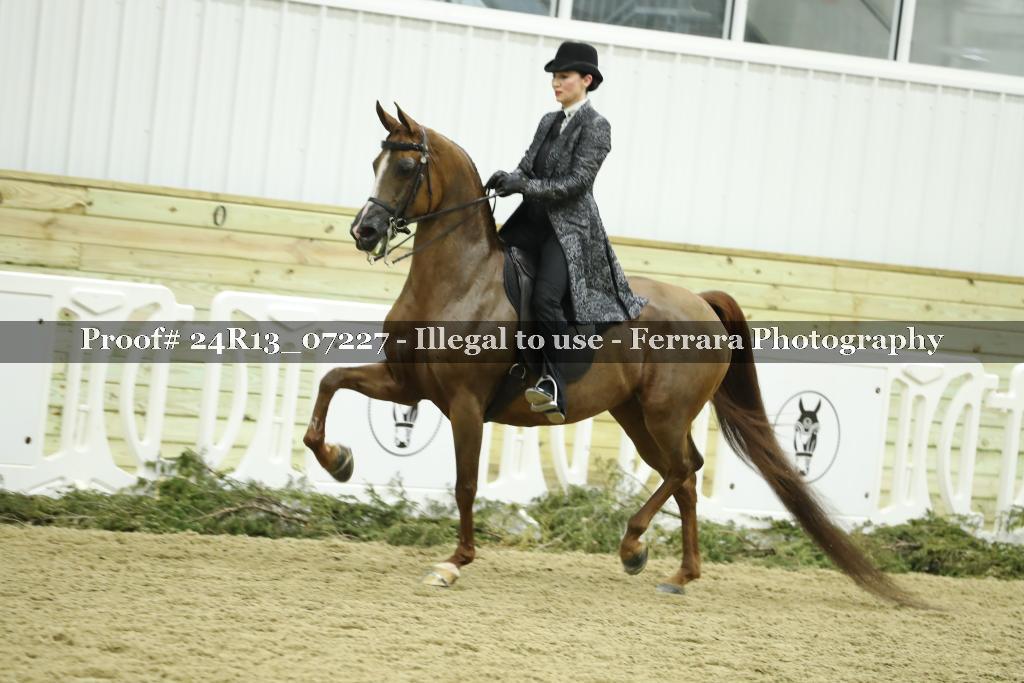Proof 24R13_07227