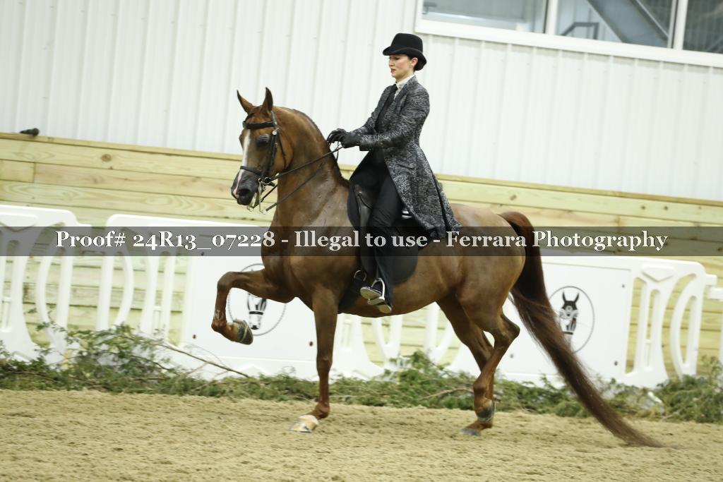 Proof 24R13_07228