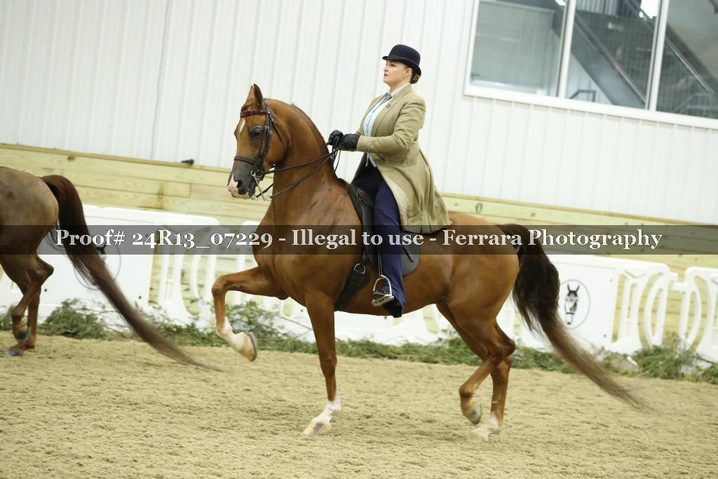 Proof 24R13_07229