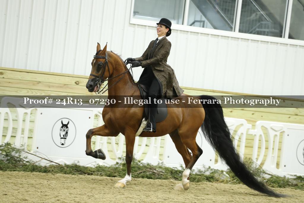 Proof 24R13_07230