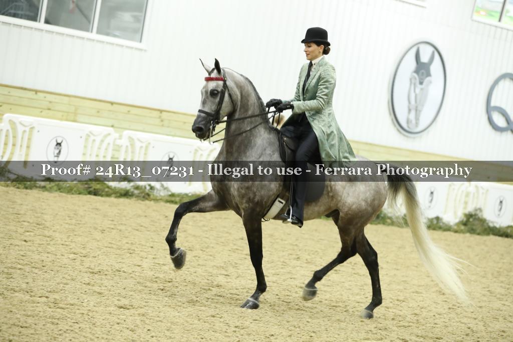 Proof 24R13_07231