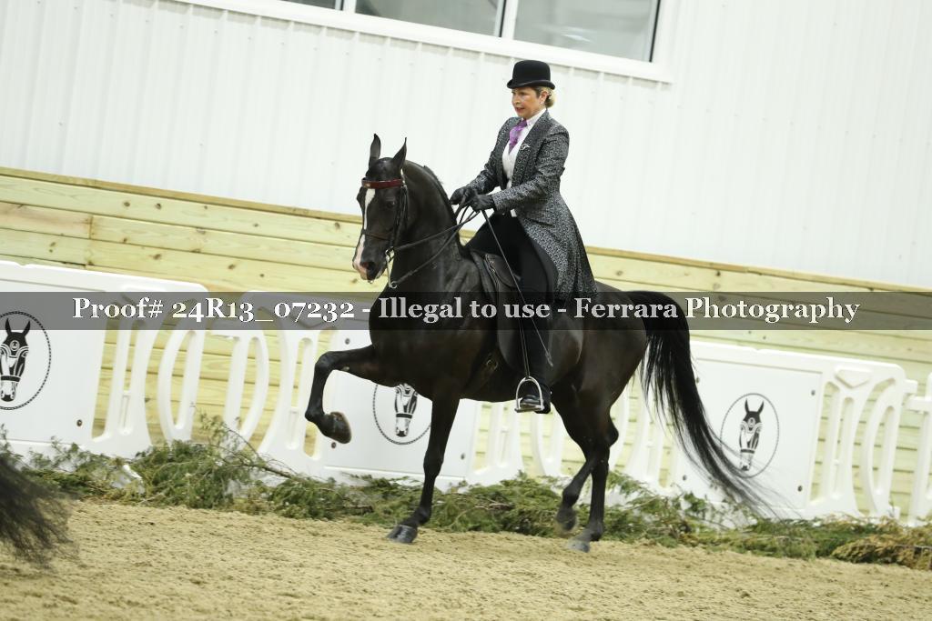 Proof 24R13_07232