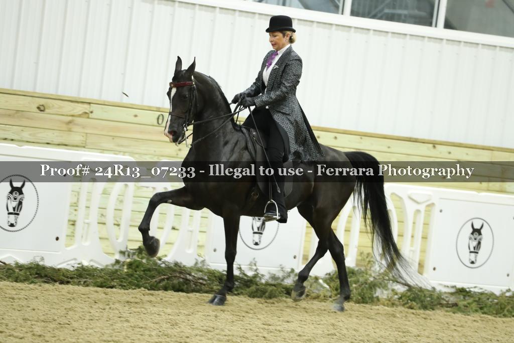 Proof 24R13_07233