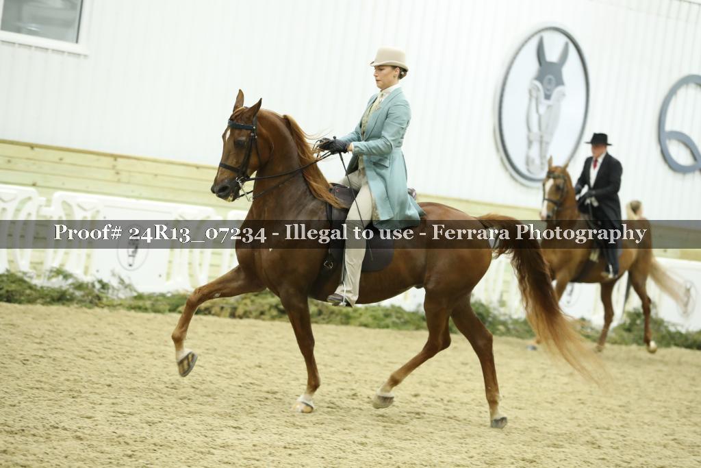 Proof 24R13_07234