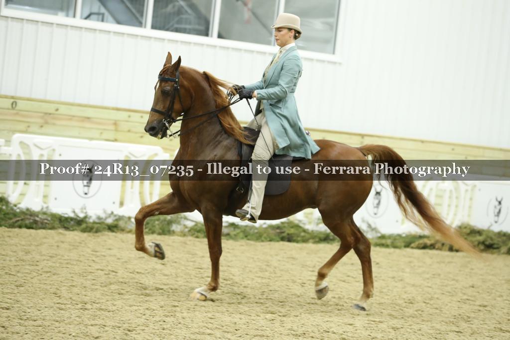 Proof 24R13_07235