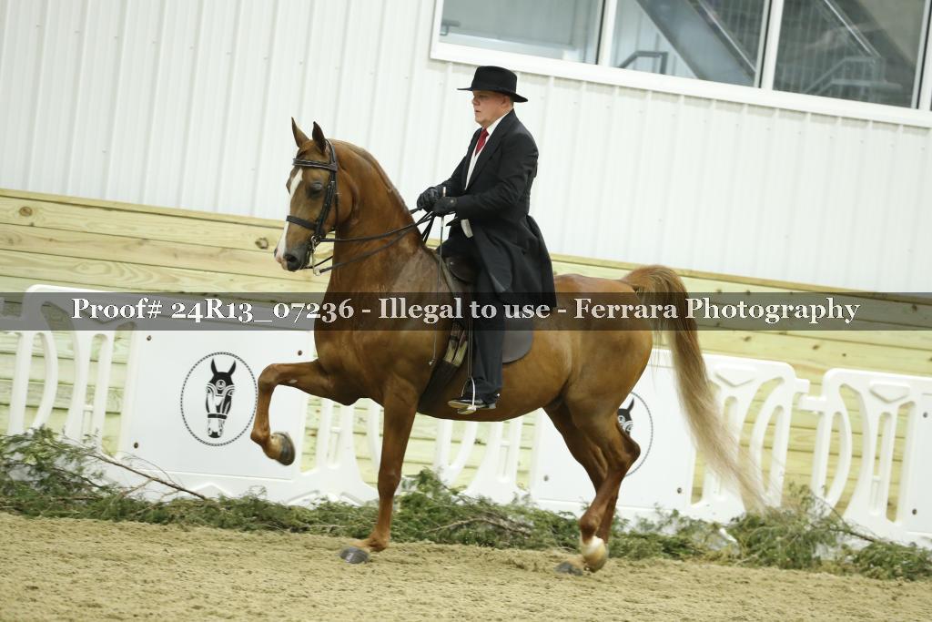 Proof 24R13_07236