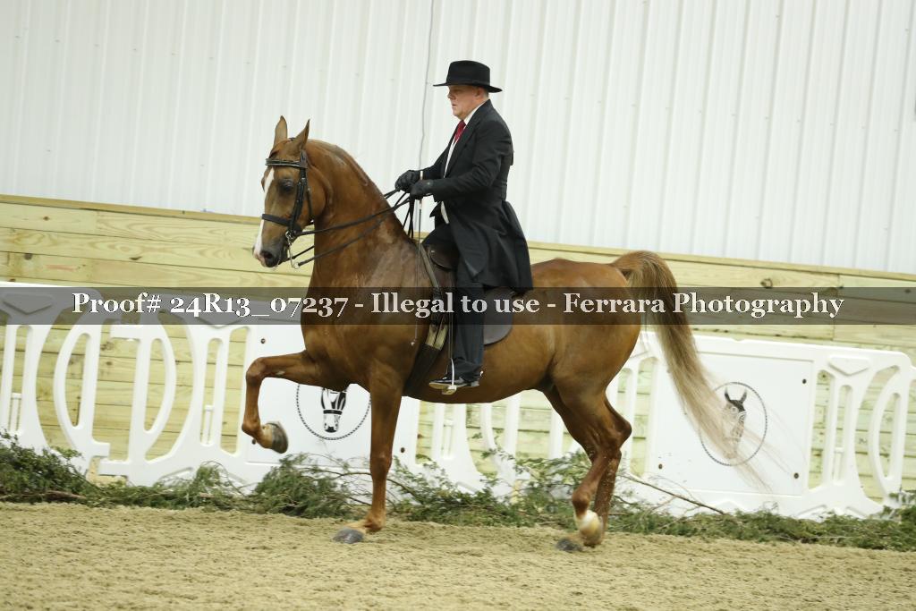 Proof 24R13_07237