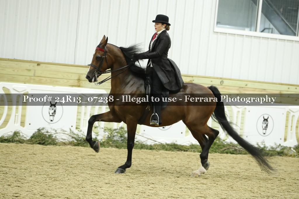 Proof 24R13_07238