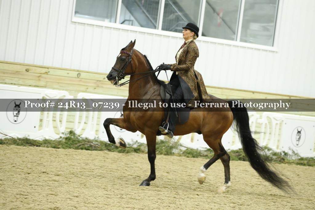 Proof 24R13_07239