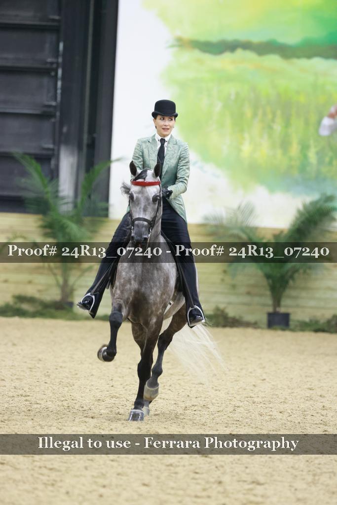 Proof 24R13_07240