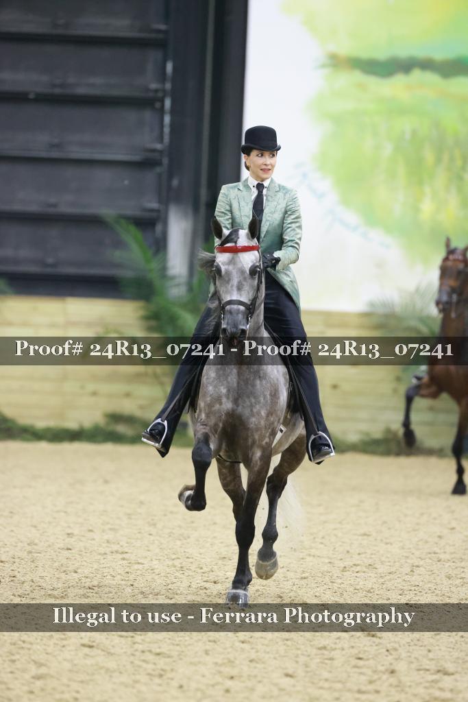 Proof 24R13_07241