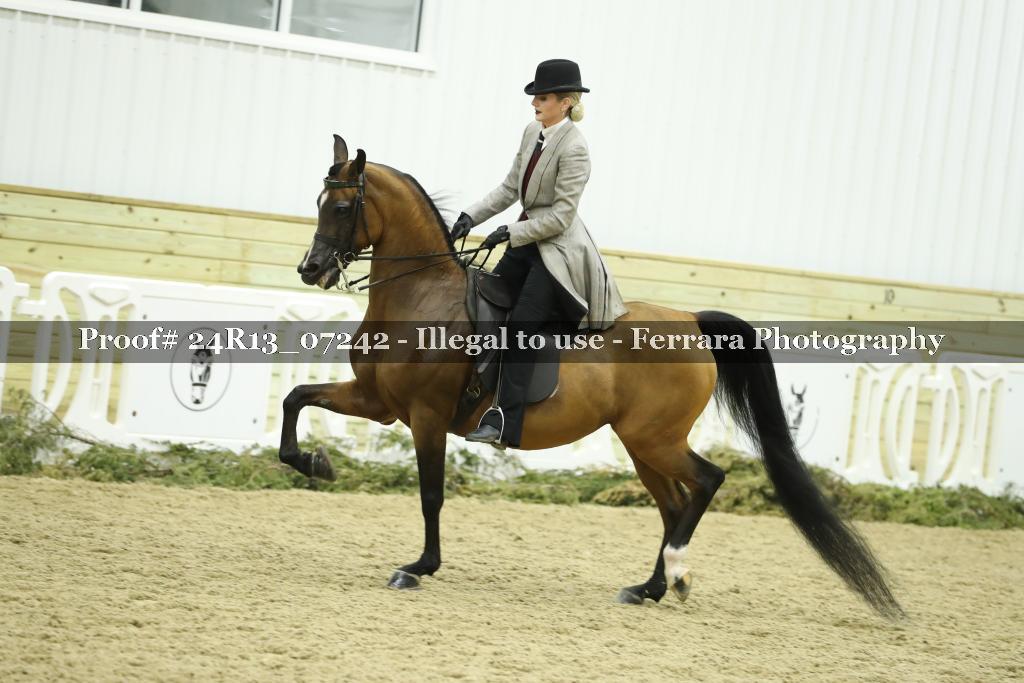 Proof 24R13_07242