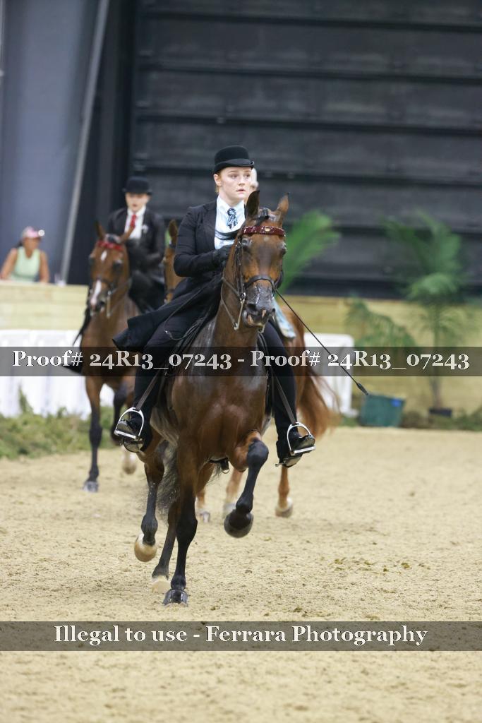 Proof 24R13_07243
