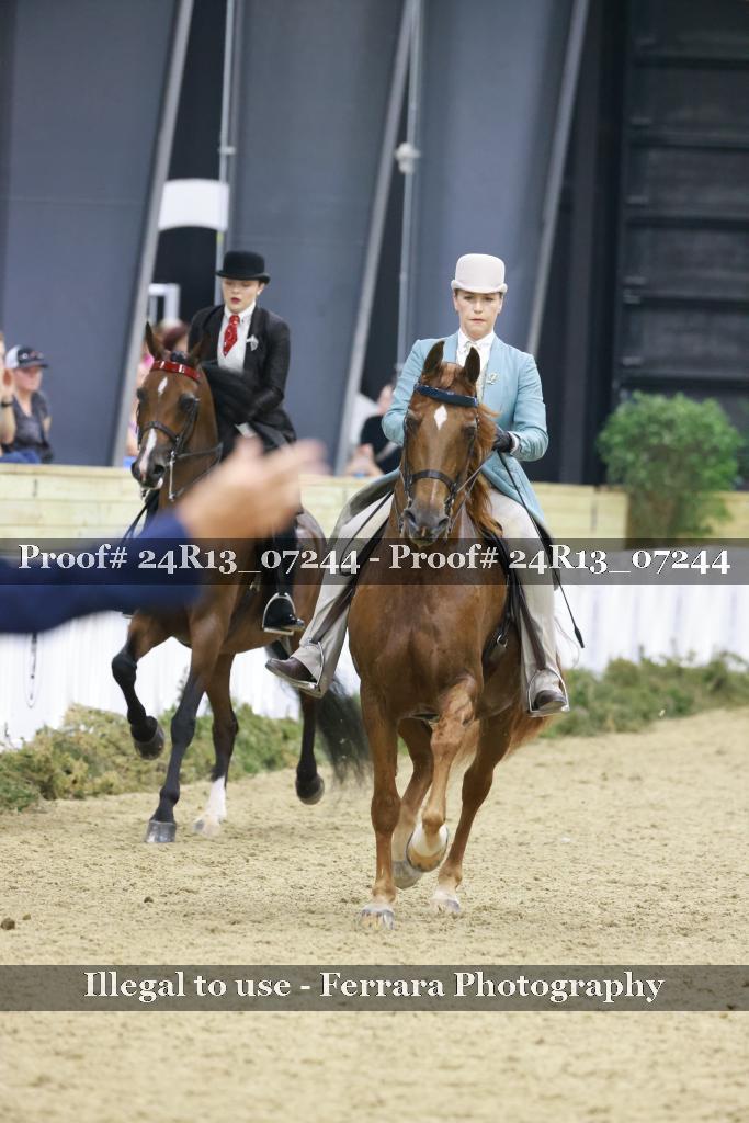 Proof 24R13_07244