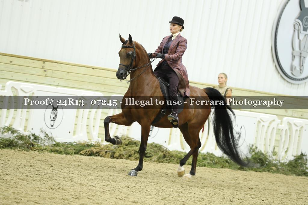Proof 24R13_07245