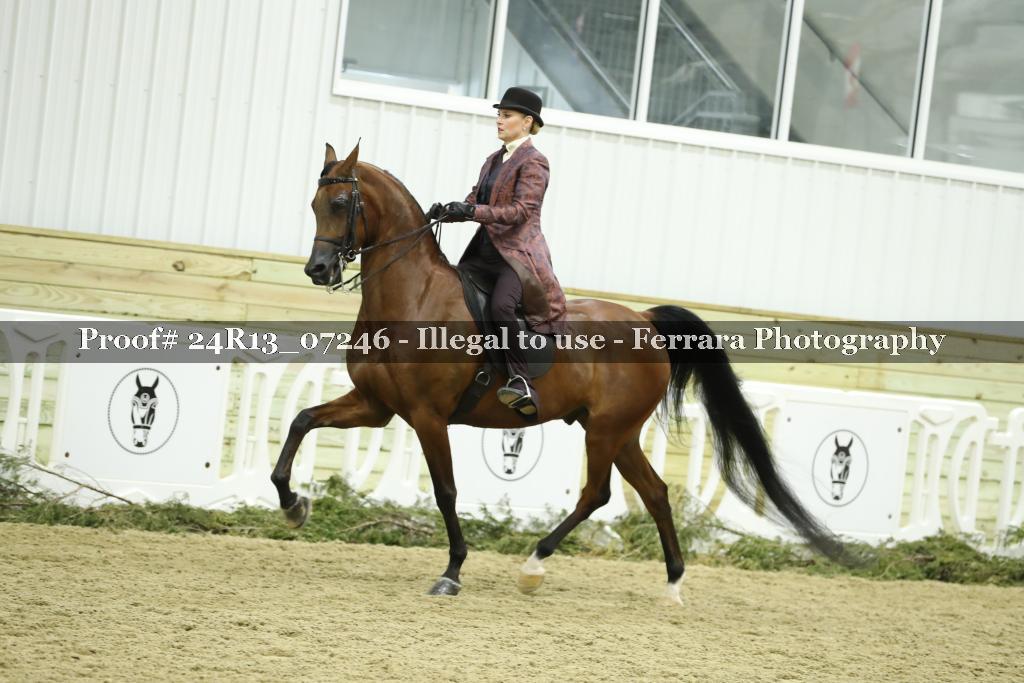 Proof 24R13_07246